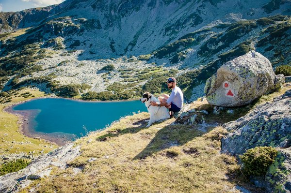 Quelles sont les meilleures destinations pour une expérience de slow travel en train en Europe ?