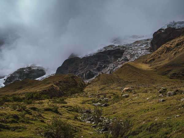 Où apprendre la danse folklorique dans les Andes avec des communautés locales ?