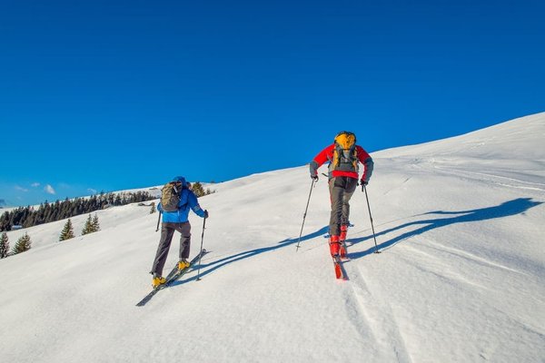 Quelles sont les techniques pour une randonnée en montagne respectueuse de l'environnement ?