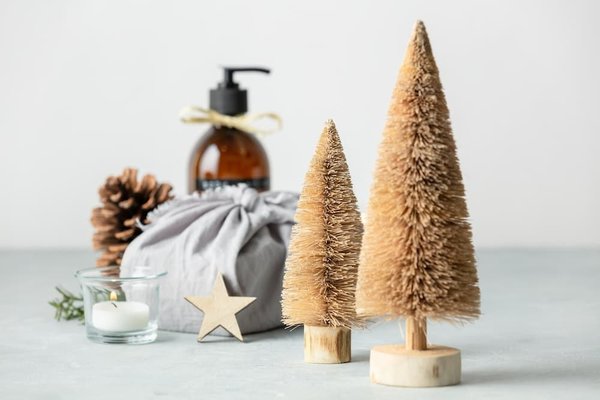 Quels sont les meilleurs moyens de transport pour une aventure en Patagonie sans polluer?